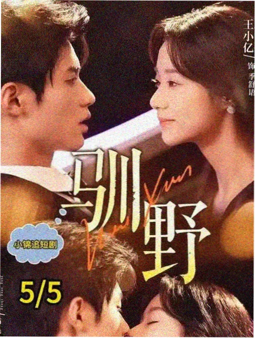 静水微澜剧照